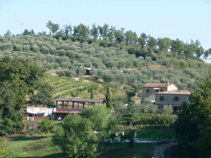 agriturismo appartamenti piscina lago calcetto ristorante eventi olio vino tartufi