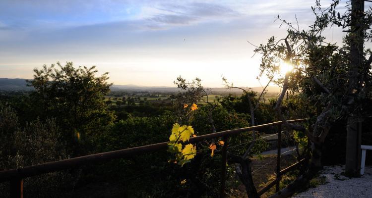 Agriturismo in Assisi