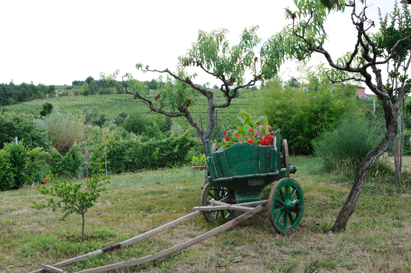 bed &breakfast ca' dil fra