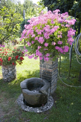 soggiorno sereno a villa celeste