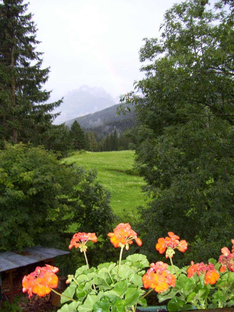 Dolomiti Cadore Comelico Padola alt. 1200